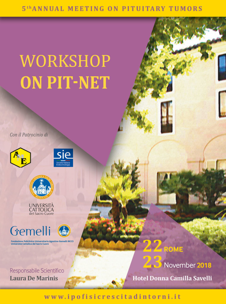 Workshop On Pit-Net_Novembre 2018